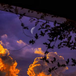 叫爸爸给你吃狙
